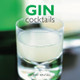 Gin Cocktails Stuart Walton 9780754833710
