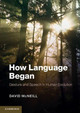 How Language Began: Gesture and Speech in Human Evolution by David McNeill 9781107605497
