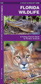 Florida Wildlife: A Folding Guide to Familiar Animals by James Kavanagh 9781583550960
