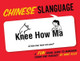 Chinese Slanguage: A Fun Visual Guide to Mandarin Terms and Phrases Mike Ellis 9781423607502