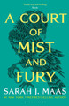 A Court of Mist and Fury by Sarah J. Maas 9781526617163