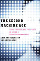 The Second Machine Age: Work, Progress, and Prosperity in a Time of Brilliant Technologies by Erik Brynjolfsson 9780393239355