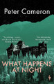 What Happens at Night by Peter Cameron 9781787704244