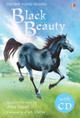 Black Beauty by Mary Sebag-Montefiore