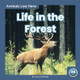Animals Live Here: Life in the Forest by ,Connor Stratton 9781646190607