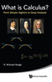 What Is Calculus?: From Simple Algebra To Deep Analysis by R. Michael Range 9789814644471