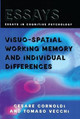 Visuo-spatial Working Memory and Individual Differences by Cesare Cornoldi 9781138877429