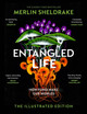 Entangled Life (The Illustrated Edition): A beautiful new gift edition featuring 100 illustrations for Christmas 2023 by Merlin Sheldrake 9781847927736