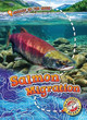 Salmon Migration by Kari Schuetz 9781626178199