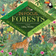 In Focus: Forests by Libby Walden 9781848578074
