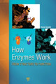 How Enzymes Work: From Structure to Function by Haruo Suzuki 9789814463928