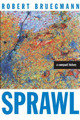 Sprawl: A Compact History by Robert Bruegmann 9780226076904