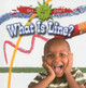 What is a Line? by Susan Meredith 9780778751366