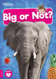 Big or Not? by William Anthony 9781805050896
