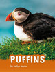 Puffins by Jaclyn Jaycox 9781977126528