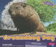 Groundhog Day by Clara Cella 9781429687317