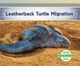 Leatherback Turtle Migration by Grace Hansen 9781532100291