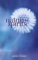 Nature Spirits by Rudolf Steiner 9781855845305