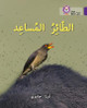 The Helper Bird: Level 8 (Collins Big Cat Arabic Reading Programme) by Anita Ganeri