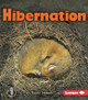 Hibernation by Robin Nelson