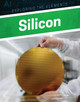 Silicon by Clara Maccarald 9781978503700