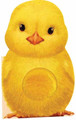 Furry Chick by Annie Auerbach 9781438050126