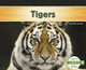 Tigers by Claire Archer 9781496610119