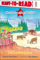 Yellowstone by Marion Dane Bauer 9781534440340