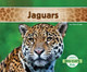 Jaguars by Claire Archer 9781629700021