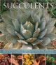 Succulents by Terry Hewitt 9781780193656