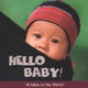 Hello Baby! by Paul Harrison 9781840897807