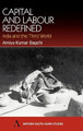Capital and Labour Redefined: India and the Third World by Amiya Kumar Bagchi 9781843310686