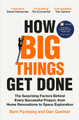 How Big Things Get Done: The Surprising Factors Behind Every Successful Project, from Home Renovations to Space Exploration by Bent Flyvbjerg 9781035018956