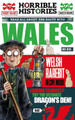 Wales (newspaper edition) by Terry Deary 9780702317576