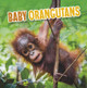 Baby Orangutans Martha E. H. Rustad 9781398223974