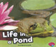 Life in the Pond by Craig Hammersmith 9781429671491