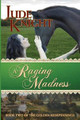 A Raging Madness by Jude Knight 9780473393656