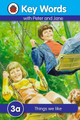 Key Words: 3a Things we like Ladybird 9781409301134