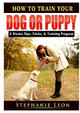 How to Train Your Dog or Puppy: 4 Weeks Tips, Tricks, & Training Program by Stephanie Leon 9780359685134