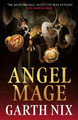 Angel Mage by Garth Nix