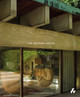 Modern House by Jonathan Bell