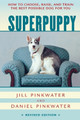 Superpuppy by Daniel Pinkwater 9780618130504