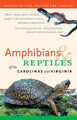 Amphibians and Reptiles of the Carolinas and Virginia, 2nd Ed by William M. Palmer 9780807871126