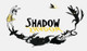 Shadow by Suzy Lee 9780811872805