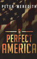 A Perfect America by Peter Meredith 9780990522225