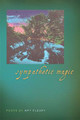 Sympathetic Magic by Amy Fleury 9780809332243