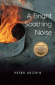 A Bright Soothing Noise by Peter Brown 9781574412918
