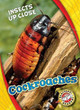 Cockroaches by Patrick Perish 9781626178021