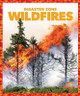 Wildfires by Vanessa Black 9781620314005