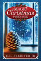 The Magic Christmas Pinecone by E L Ferriter Jr 9780996860307